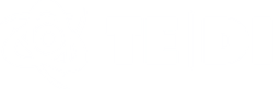 TE·DI